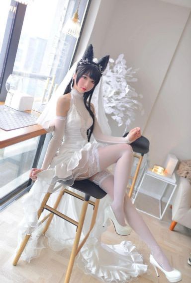 藏海花电视剧免费观看