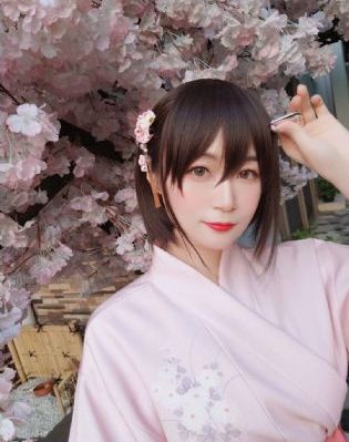 吸血鬼骑士第二季